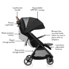 Evenflo Otto+ Travel System w/LiteMax Infant Cat Seat(Chia Black)